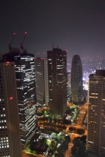Tokio noche desde edificio del Gobierno de Tokio