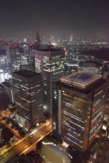 Tokio noche desde edificio del Gobierno de Tokio