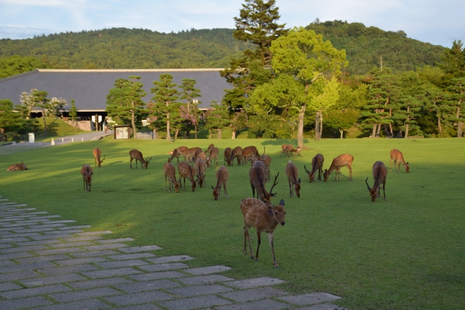Parque Nara-köen