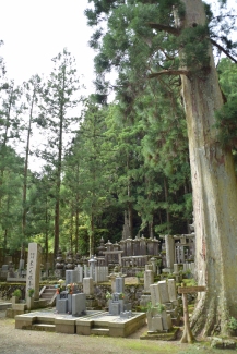 Cementerio Oku-no-in