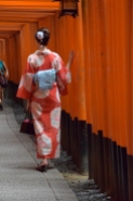 Teries rojas de Fushimi-Inari